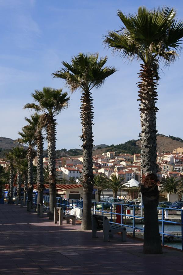 Villa Camille Banyuls-sur-Mer Eksteriør billede