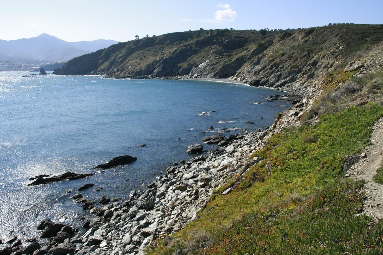 Villa Camille Banyuls-sur-Mer Eksteriør billede