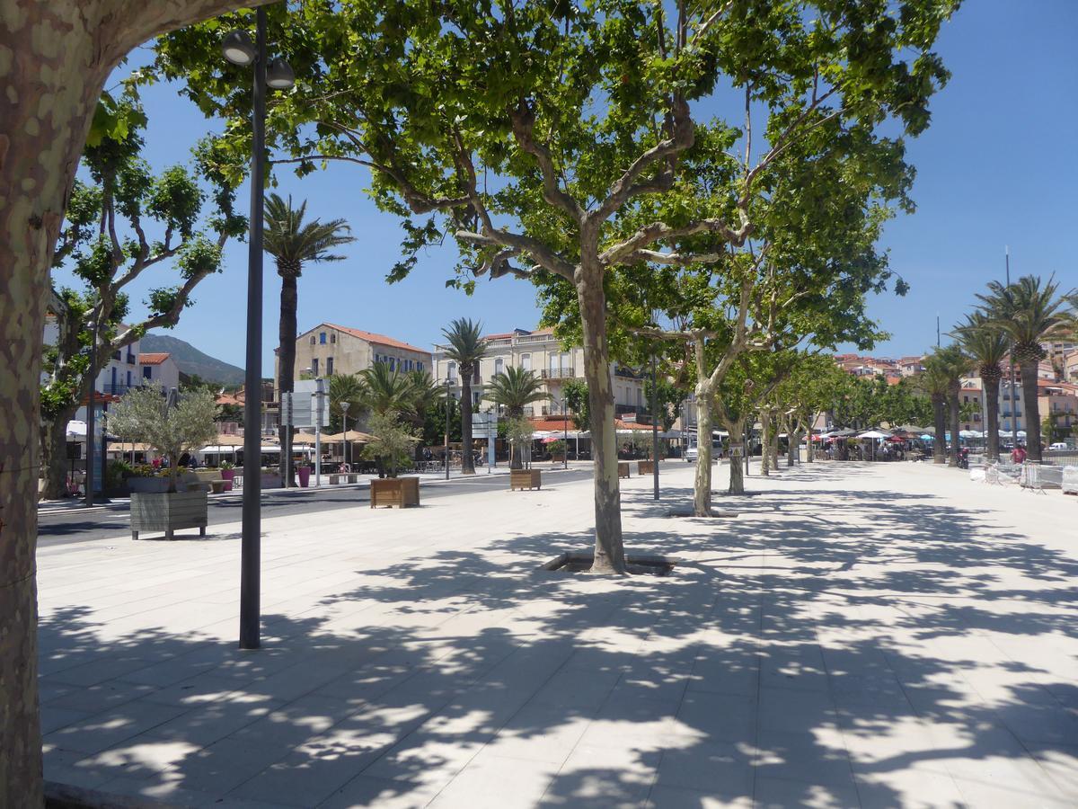 Villa Camille Banyuls-sur-Mer Eksteriør billede